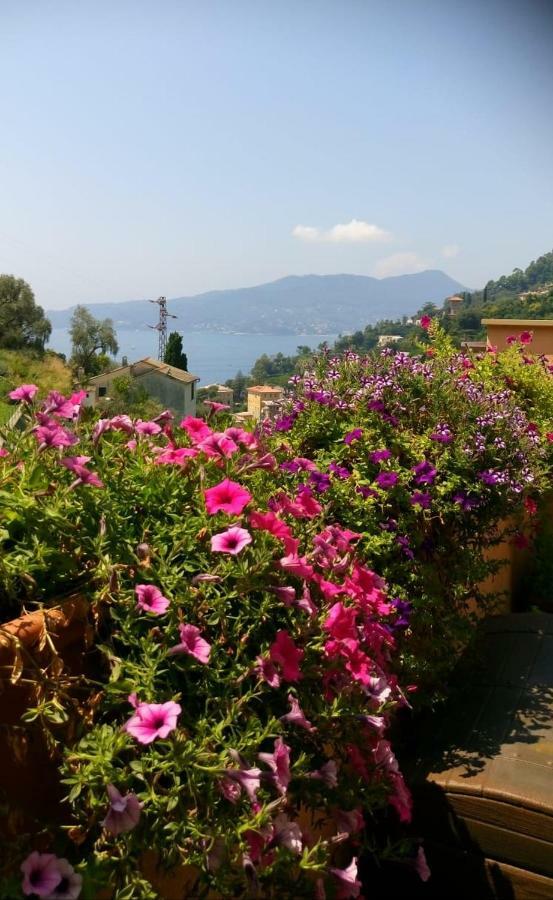 Villetta Le Rondini Alloggio in famiglia